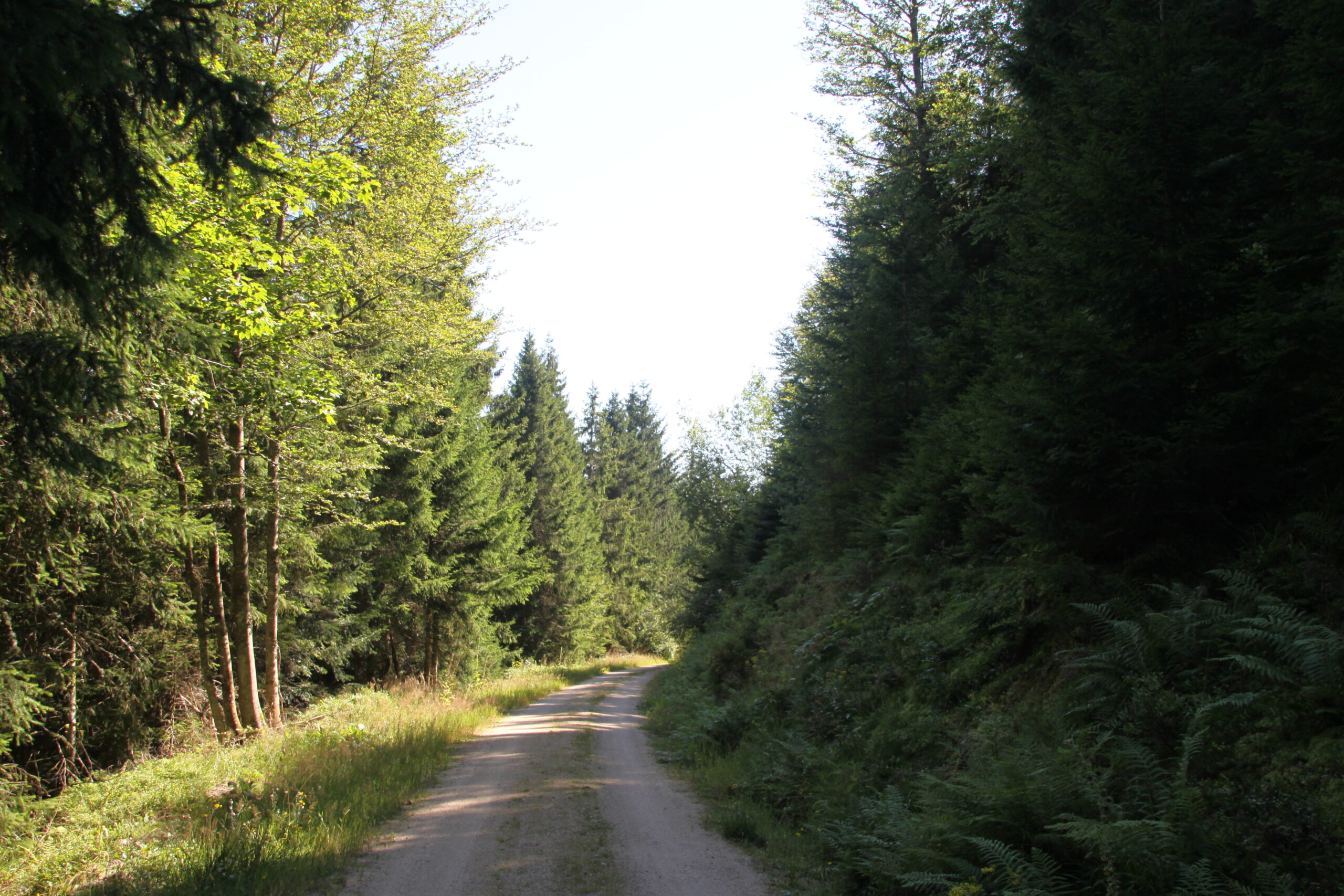 Quand la richesse retrouve son âme : le chemin d&rsquo;un homme vers la liberté intérieure